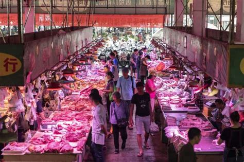 are wet markets in china open